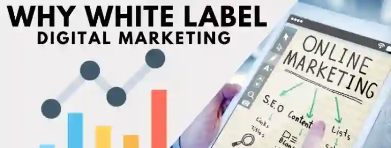 Why You Should Work With a White Label SMM Firm
