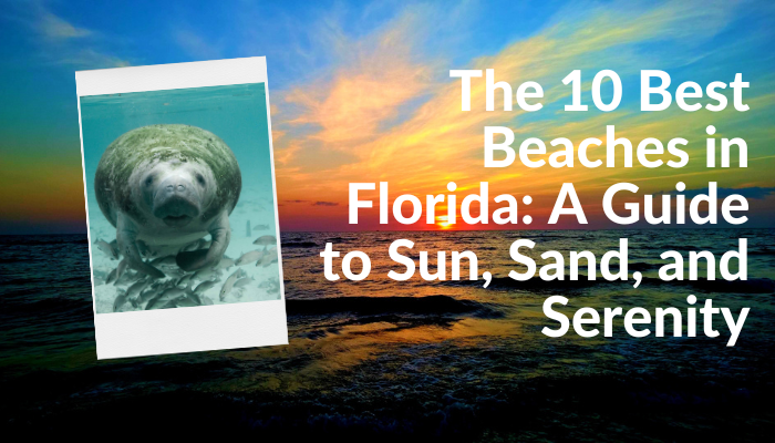 Is Outsourcing Photo Enhancement Services the Right Move for Your Business?